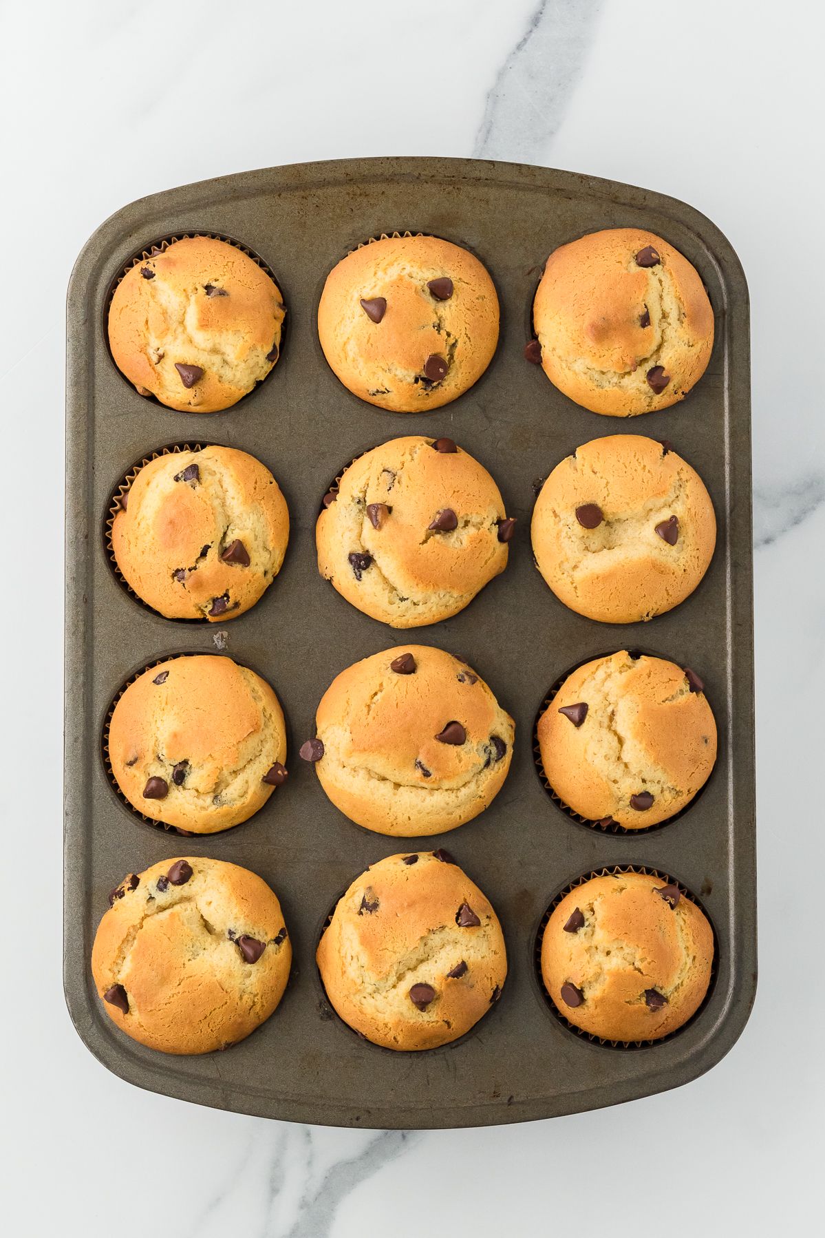 Golden baked chocolate chip muffins in the pan