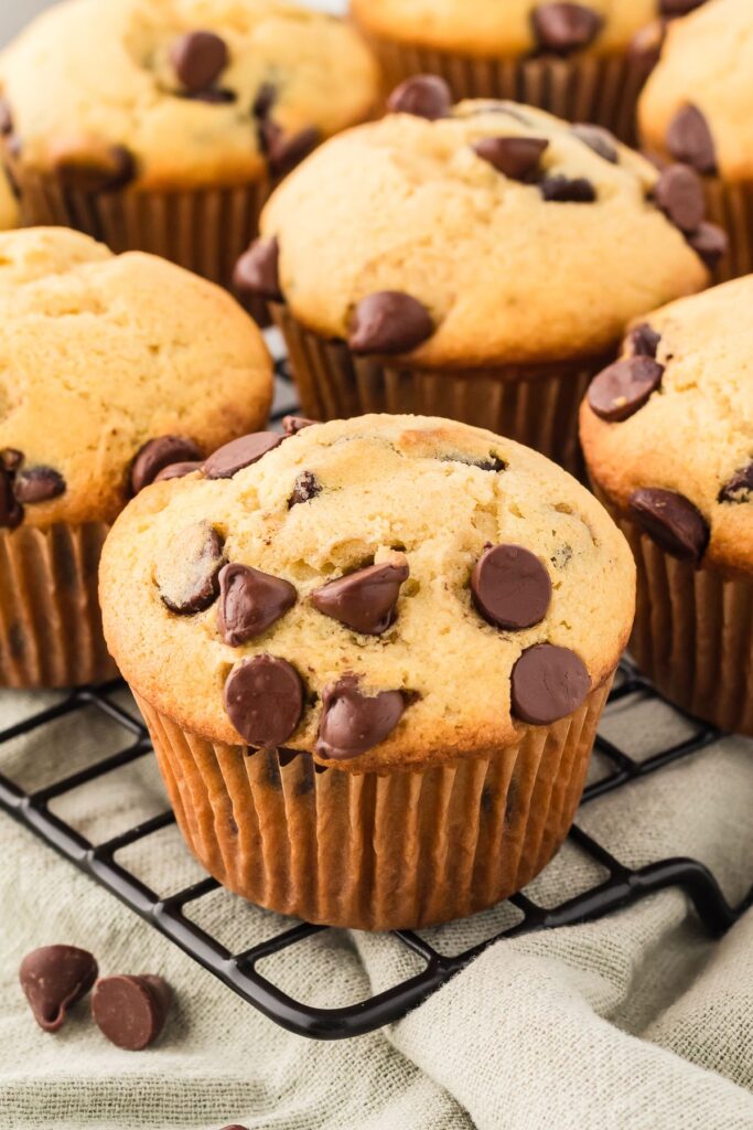 Bakery style chocolate chip muffins on a cooling rack