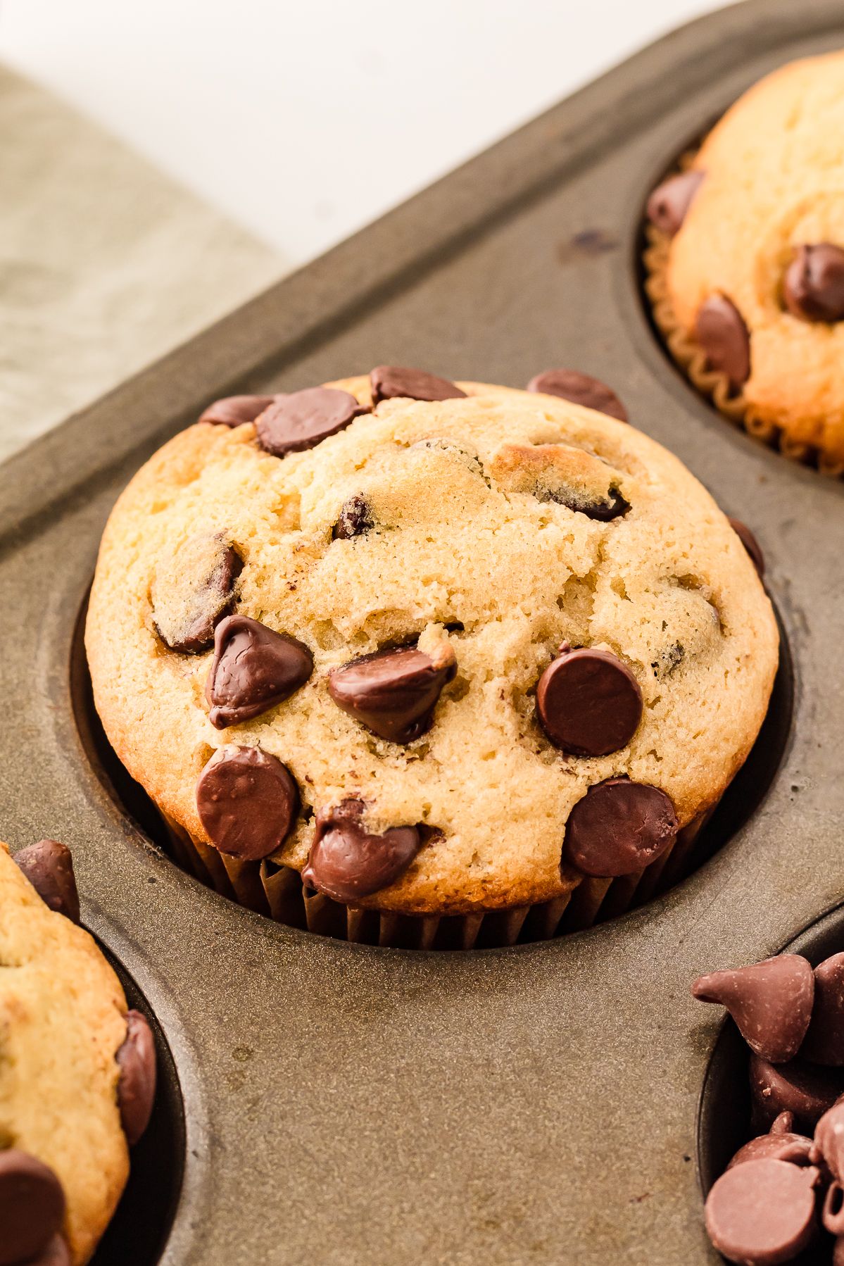Chocolate chip muffin in the muffin tin surrounded by chocolate chips