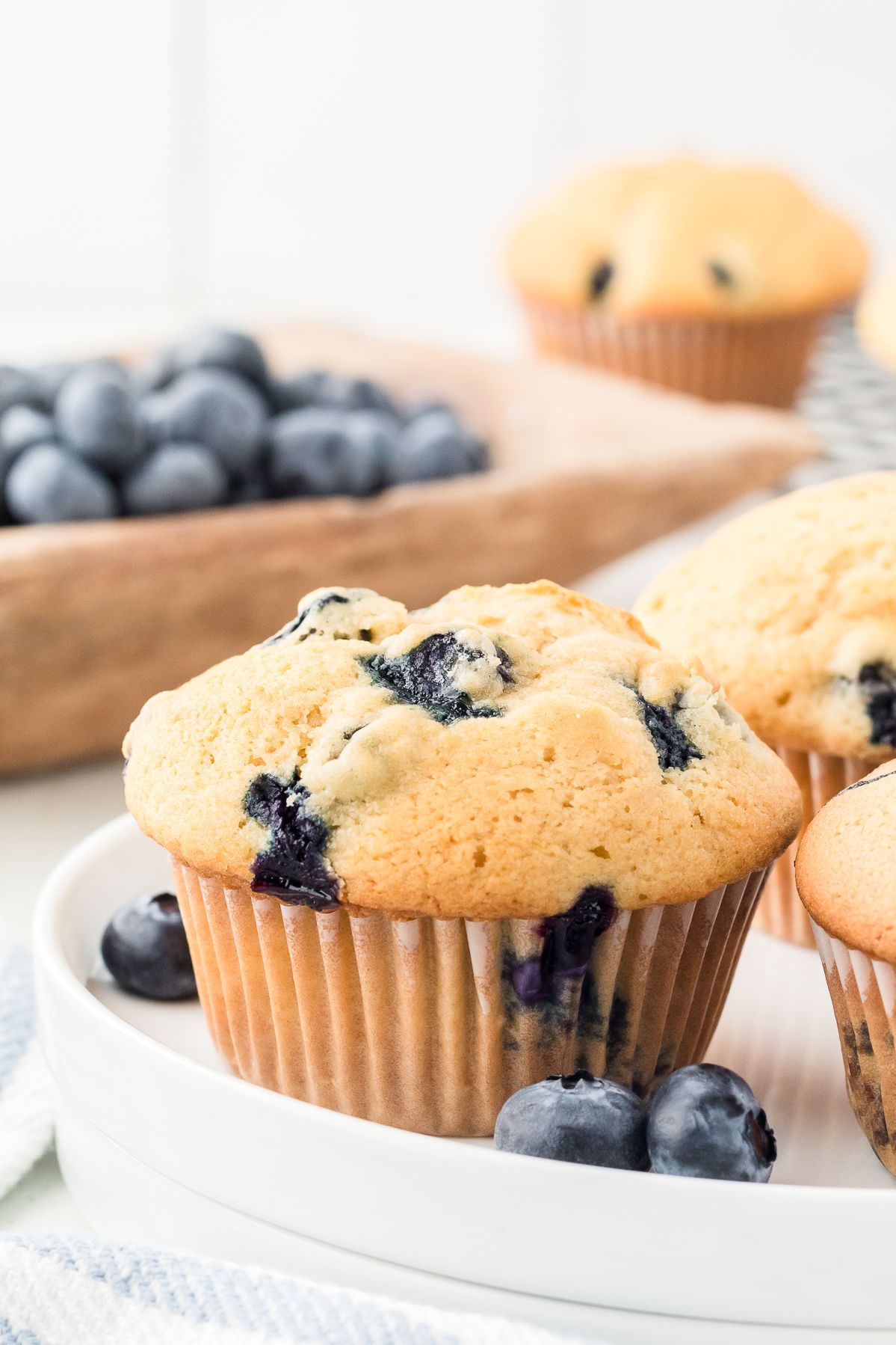 Healthy blueberry muffin on a white plate with blueberries