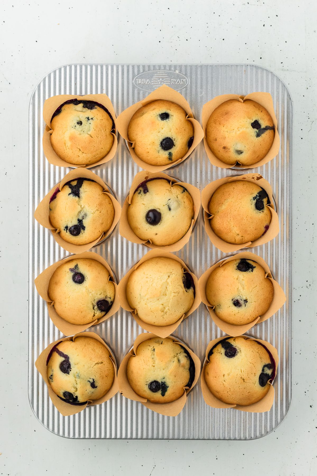 Baked lemon blueberry muffins in the muffin tin