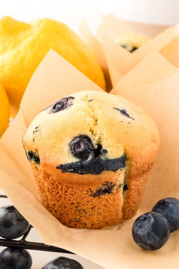 Lemon blueberry muffin in a parchment liner with fresh lemons and blueberries