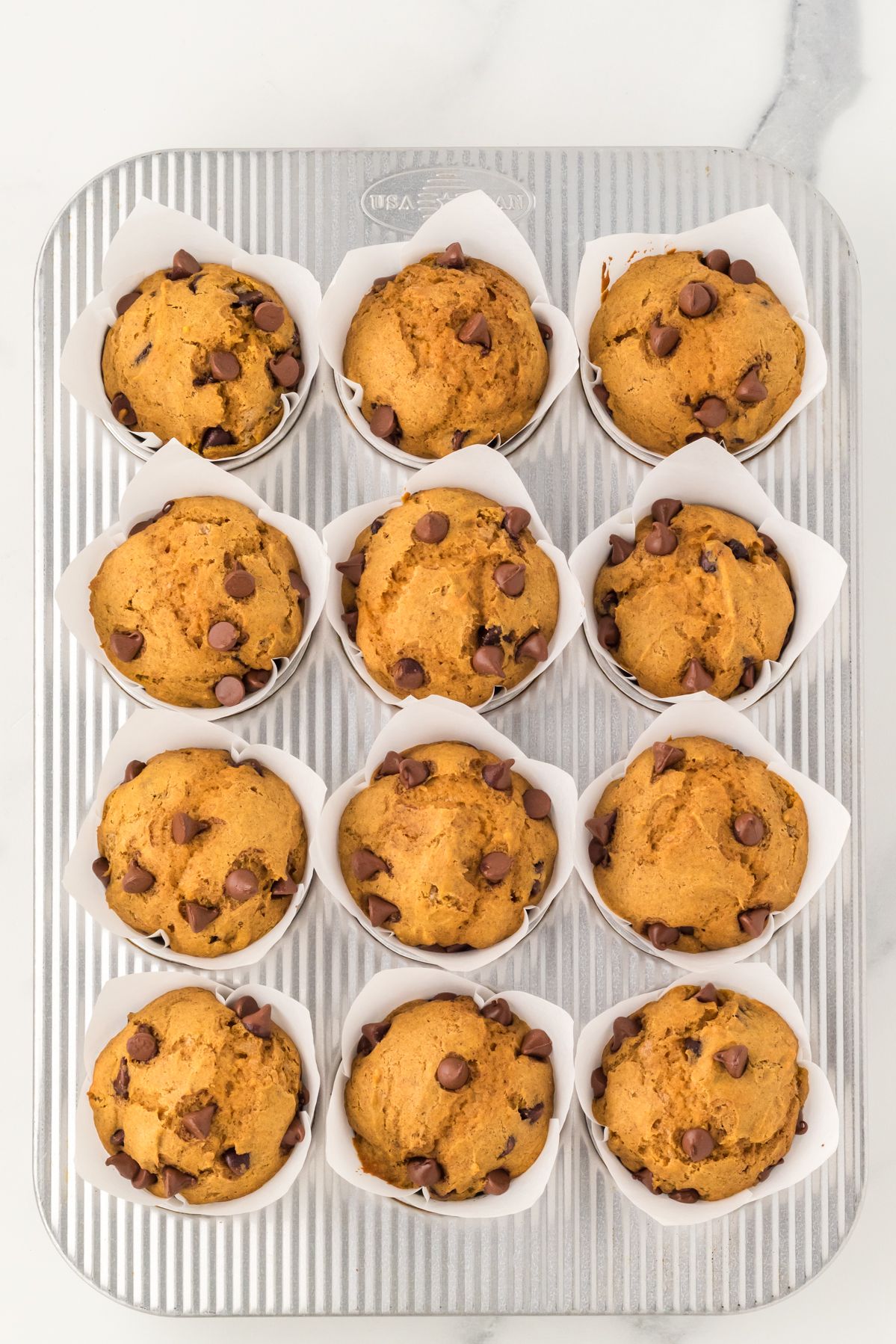 Baked pumpkin chocolate chip muffins in the muffin tin