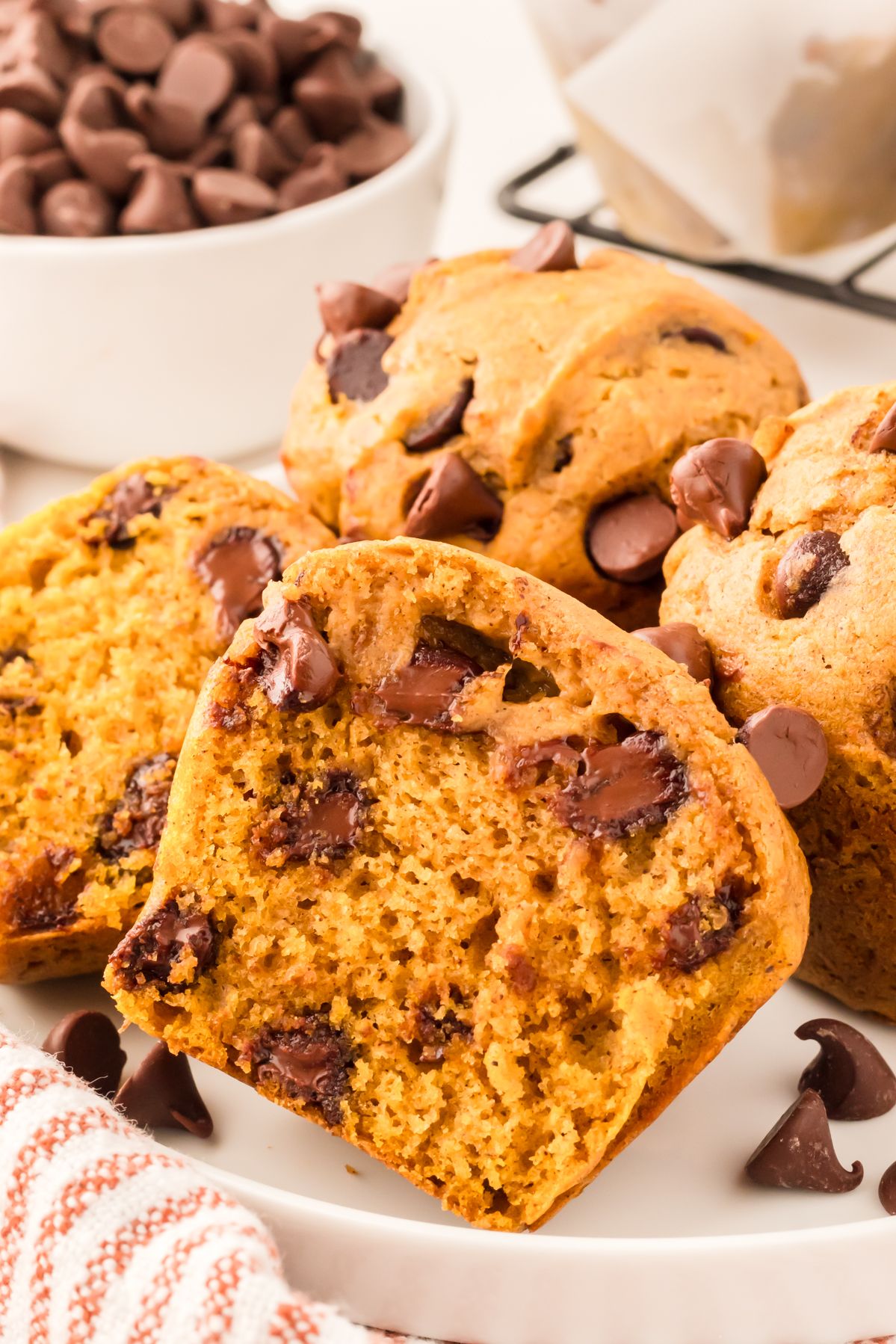 Pumpkin chocolate chip muffin broken open to show the soft, chocolate studded crumb
