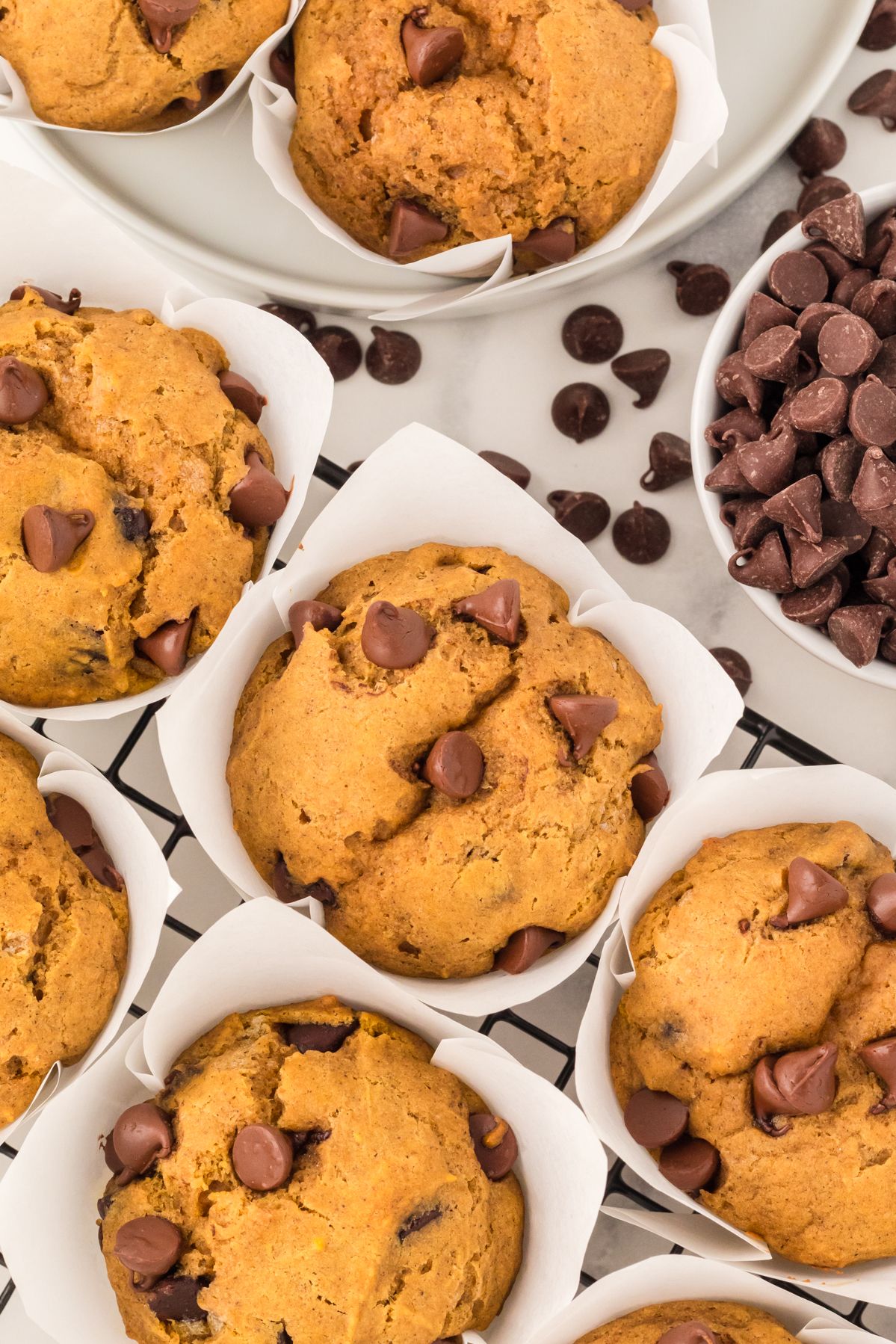Overhead view of pumpkin chocolate chip muffins in parchment liners with a bowl of chocolate chips