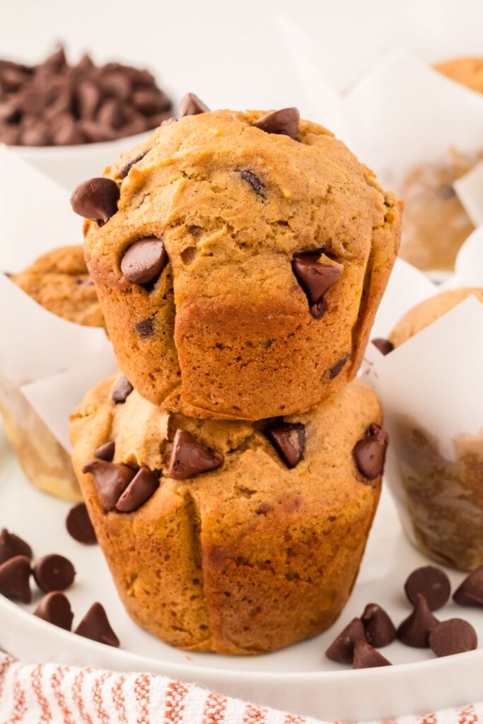 Two pumpkin chocolate chip muffins stacked, studded with chocolate chips